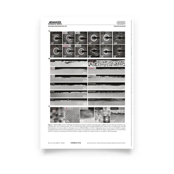 Scientific articles