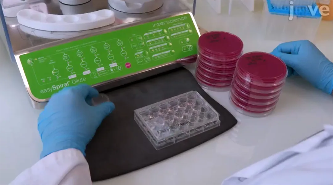 Vidéo Jove - Plate & Count system