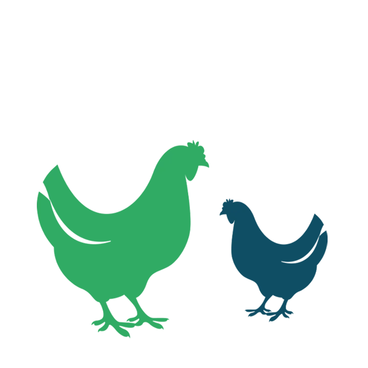 Veterinary