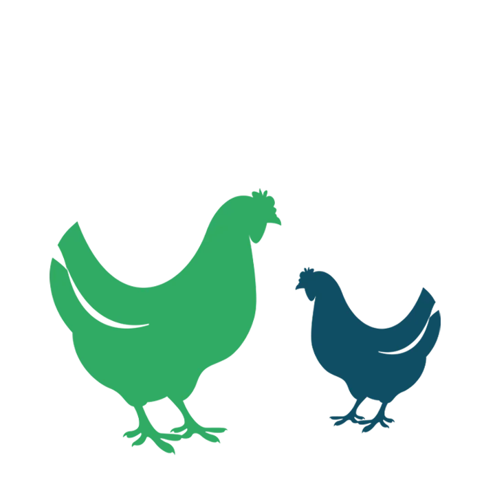 Veterinärmedizin