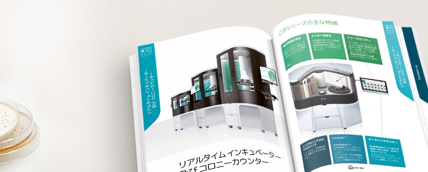 Catalog